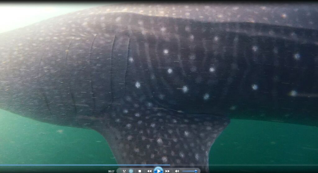 d4012751-f238-40a9-9085-ff57cc7affa3