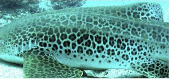 21570c0a-e3a4-4cbb-b150-ce8315ed17e9