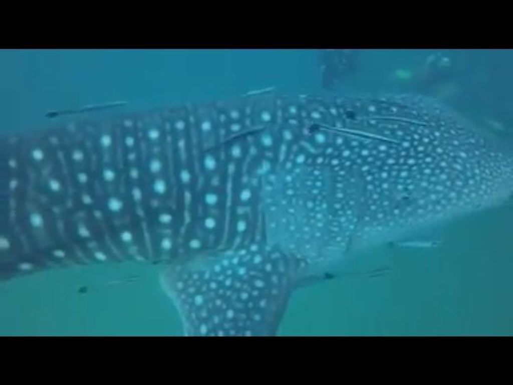 8e7bd973-26db-4afc-9ed8-49325843bd8c