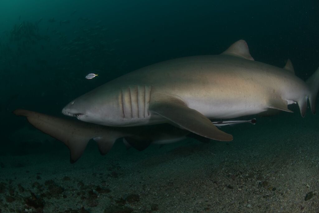 c10cd5c6-9207-4b97-8ab1-460146d39f26