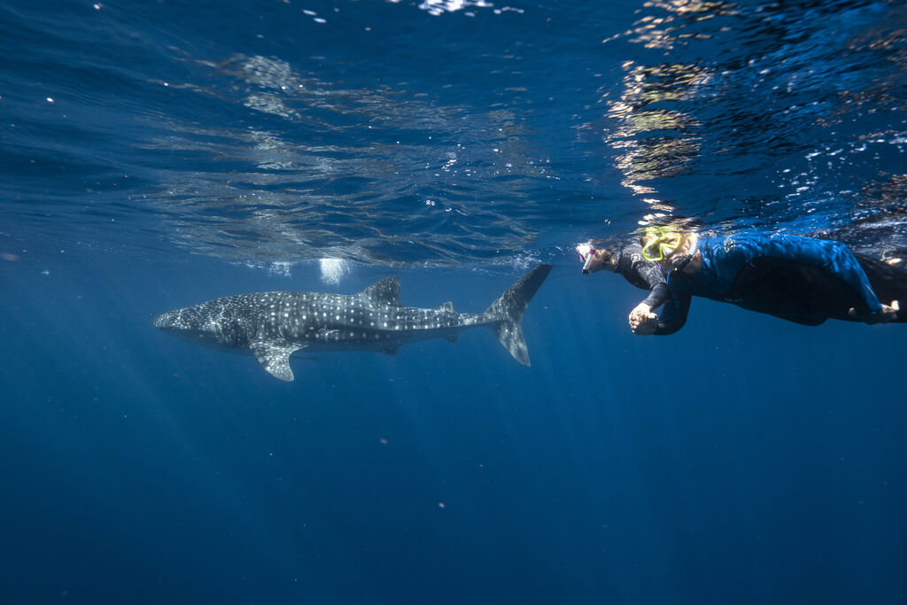 a1f2af09-076f-4611-a370-8663f843d764