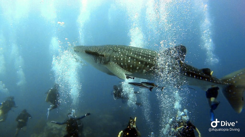 9512902c-43e1-4d2e-b975-16b8b00157ad