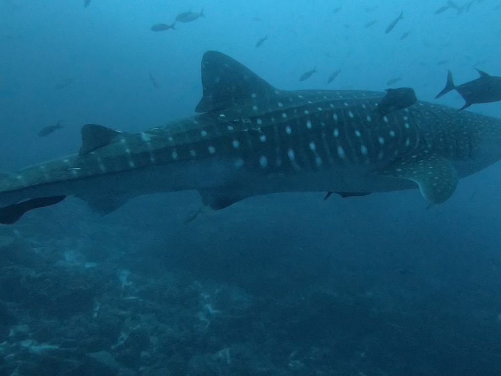 1ac0158e-c9b3-4693-979a-60995f27c4c0