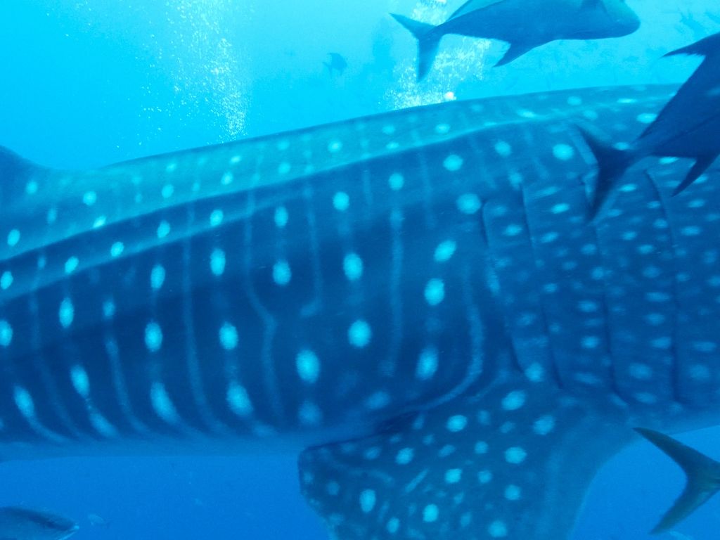 1ac0158e-c9b3-4693-979a-60995f27c4c0