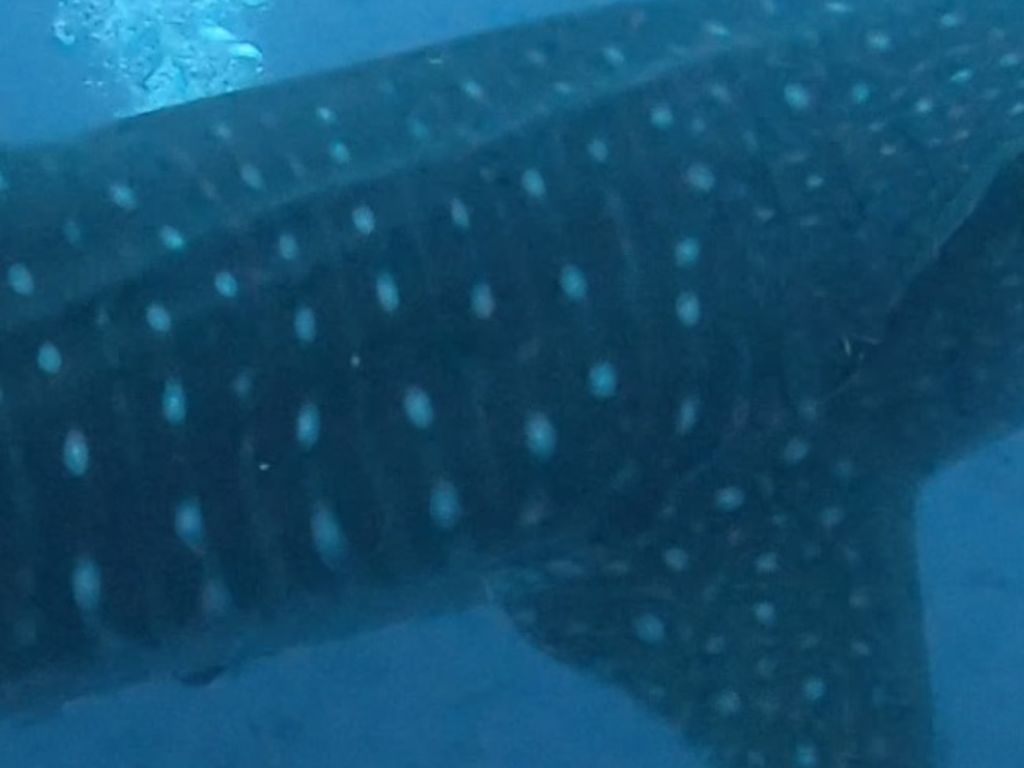 1ac0158e-c9b3-4693-979a-60995f27c4c0