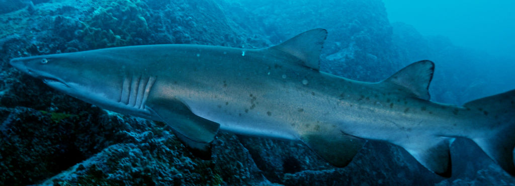 975b7501-d8a7-47e9-a643-c5ea2cd5c2a9