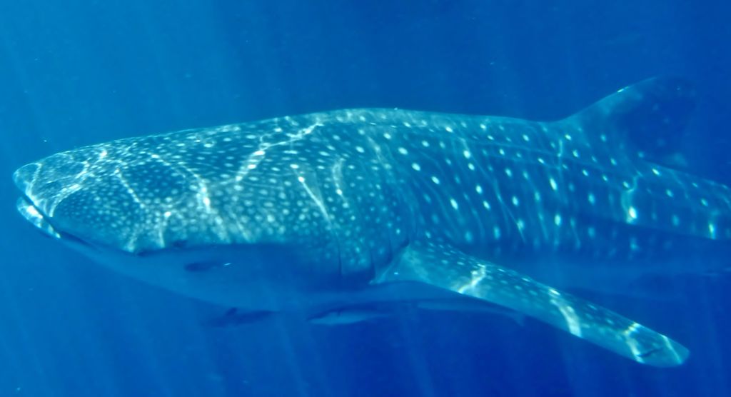 5cdfe795-ed27-415c-8373-f818c7c49622