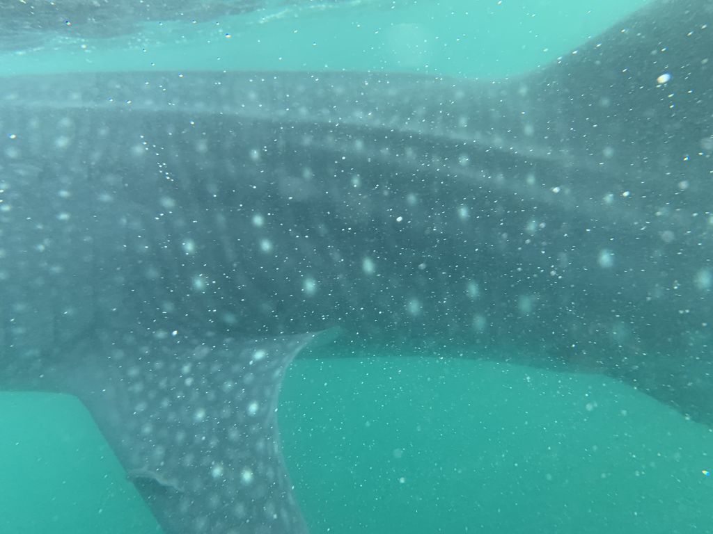 4c3f190d-3b8a-4417-b6ab-a1c0c0ad6ed3