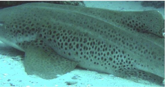 948ad662-a9d3-4ab3-9bd5-47ac18820a45