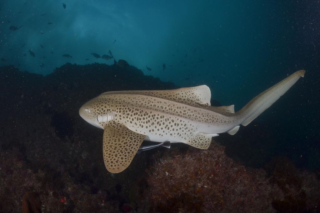 561242db-c3f9-47db-b3aa-8610cc38c12f