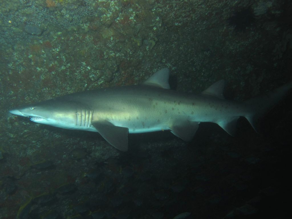 f1451e9b-2587-4440-ba37-7089d274b323