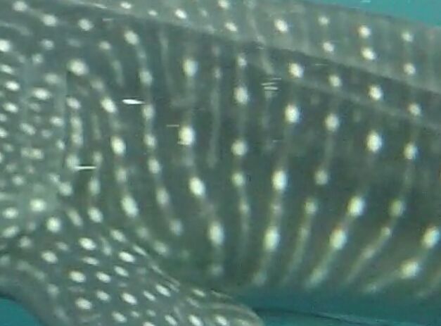 0a8c5ac1-4e89-47a7-b978-627eb9ea48e0