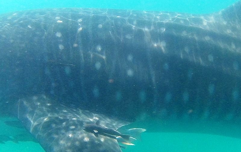 574f9d8a-b3e6-497e-b847-fa486a5e5a4b