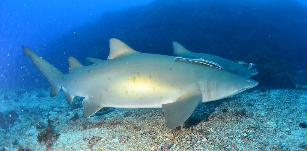 812ac54e-caea-4ea3-acdc-1cb1c2851696