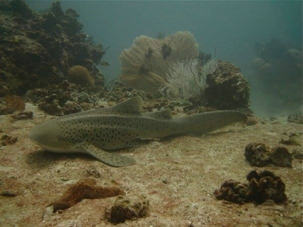 cfb211aa-67bd-42d3-ab31-01ebf298a425