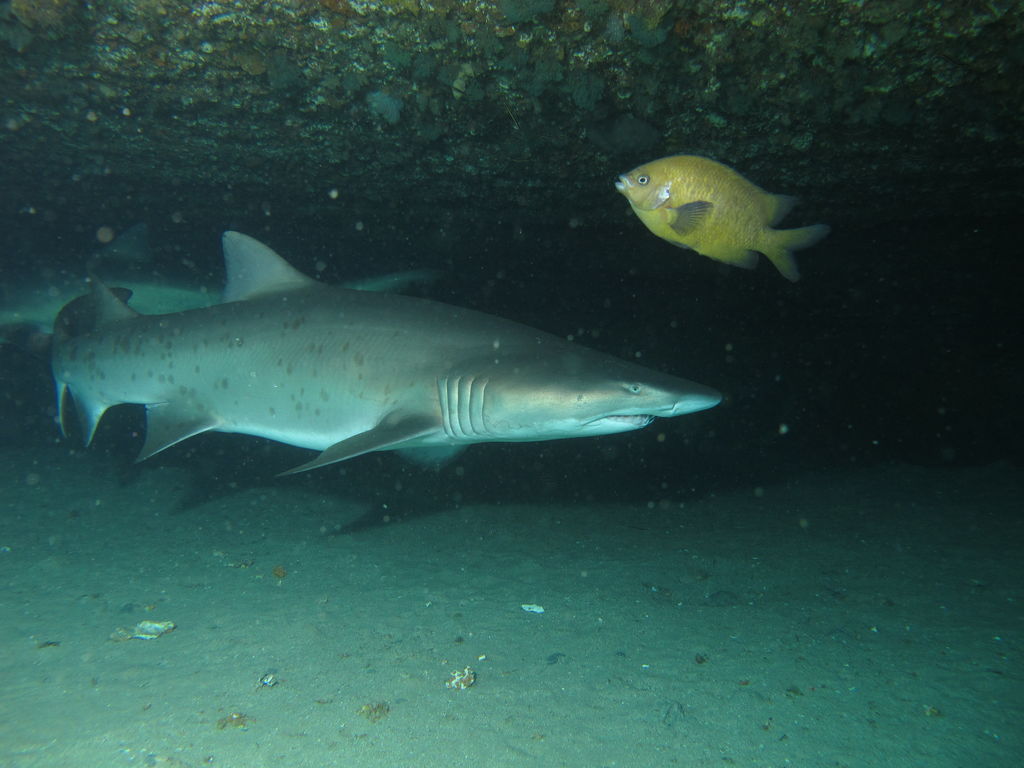 185ba8c4-88d3-416b-9648-81876c3a6bb7