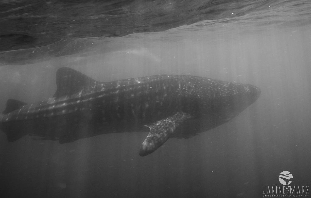 2dcb29f4-633f-459f-b845-937b32495a72