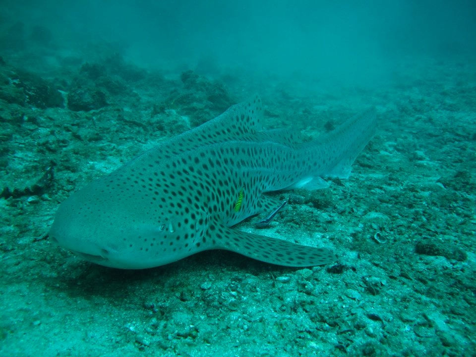 cd17e64f-c4d5-4087-9689-1dc458a2a9c1