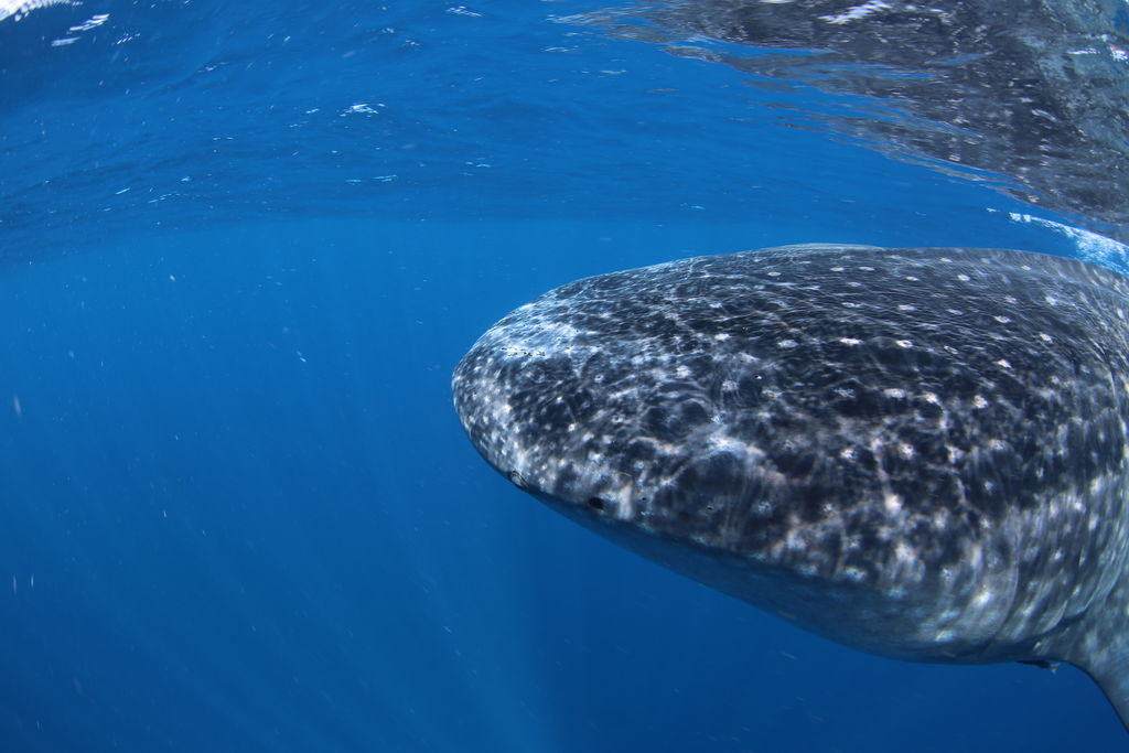 3240dd71-a67c-4e42-95cc-e166750a3264