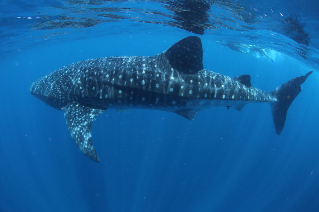 3240dd71-a67c-4e42-95cc-e166750a3264