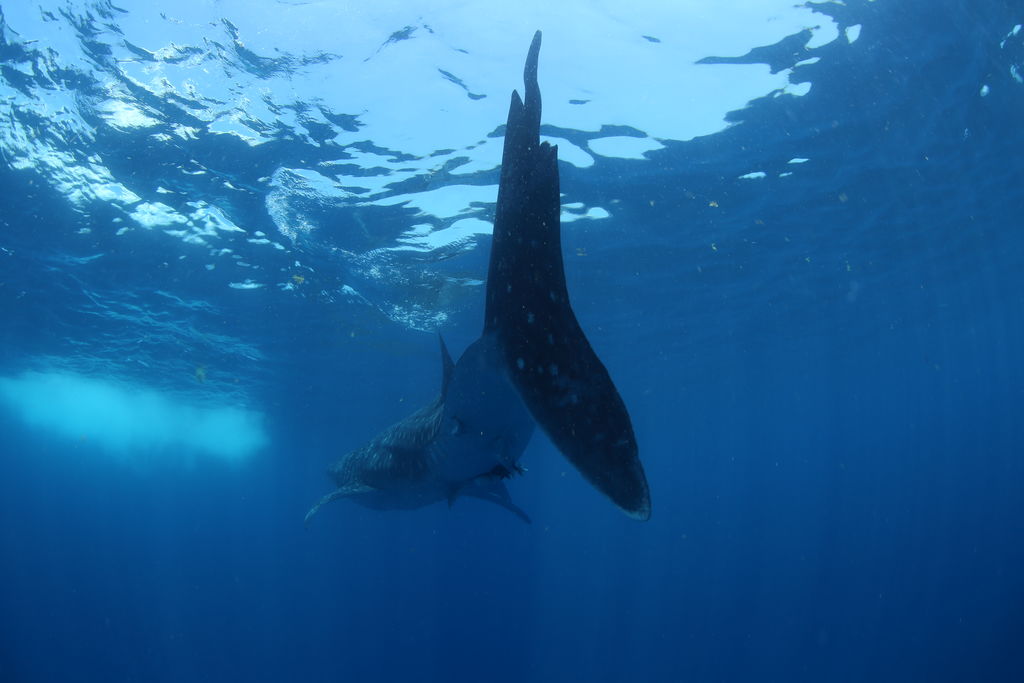 3240dd71-a67c-4e42-95cc-e166750a3264