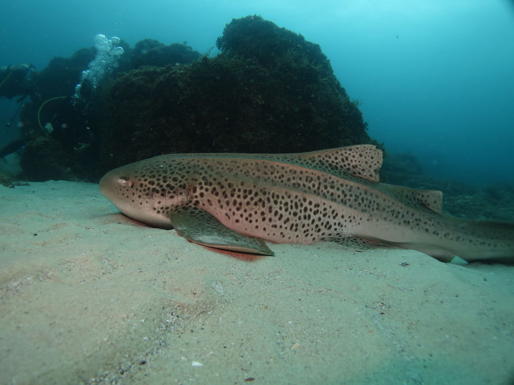 edbf7458-f1c6-424f-a2e9-d15ef91d76bd