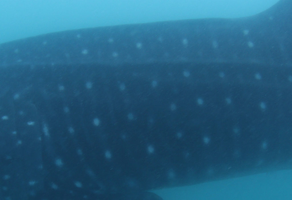 2ec6be16-bf6f-49a9-8801-5d7ae278186d