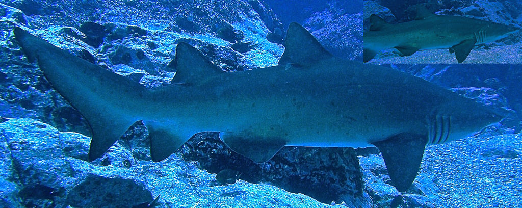 b3d20297-fb3d-4eae-8944-fe2c279609e4