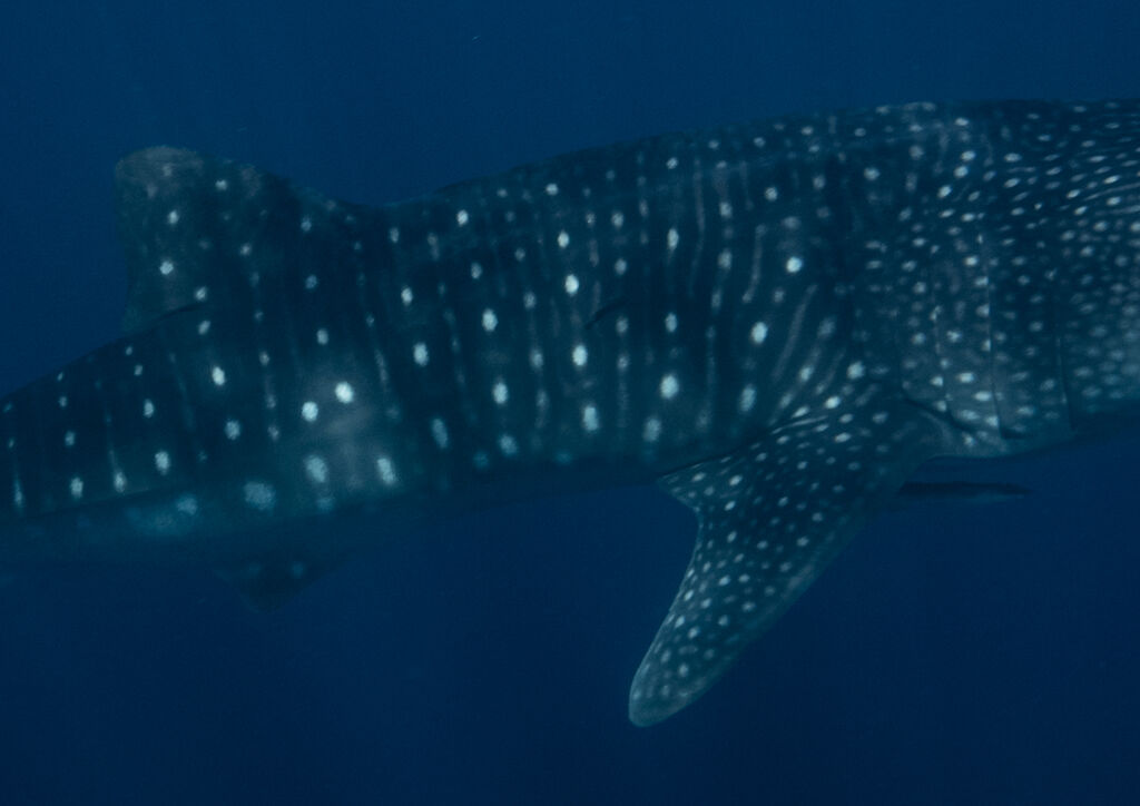 e3328bc4-c89e-4dd3-a64f-7fd6e2d760a1