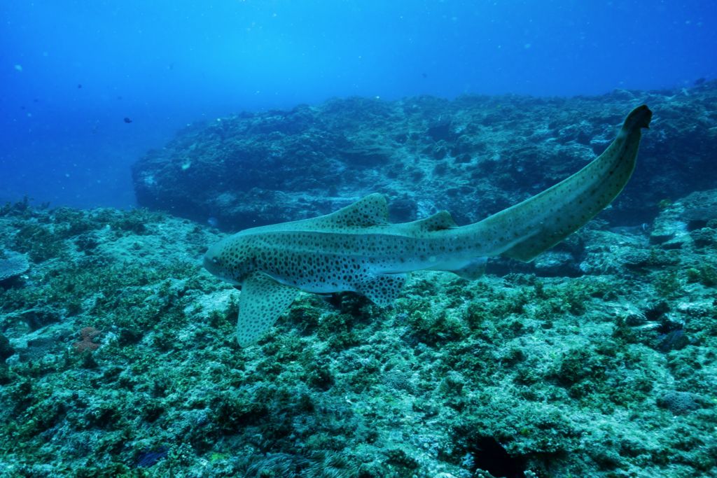 2596df15-75be-44df-b898-cb9d4dc47569