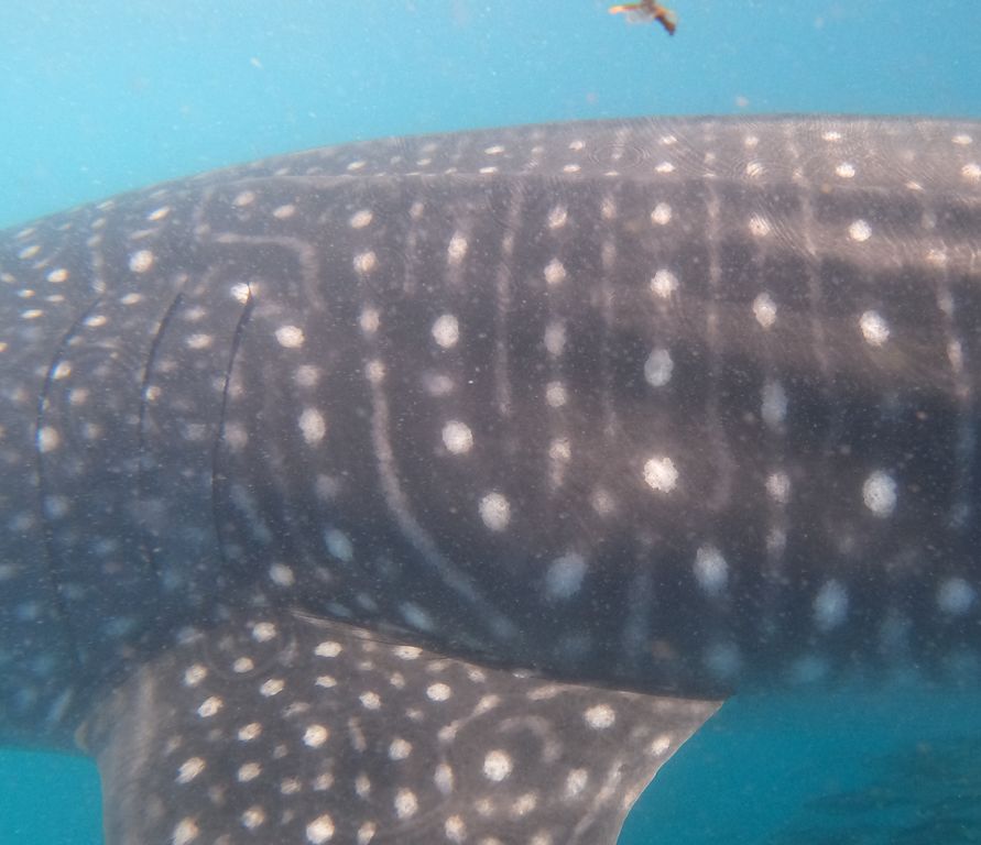 c6b2b270-aeb6-4a75-b764-b86048106848