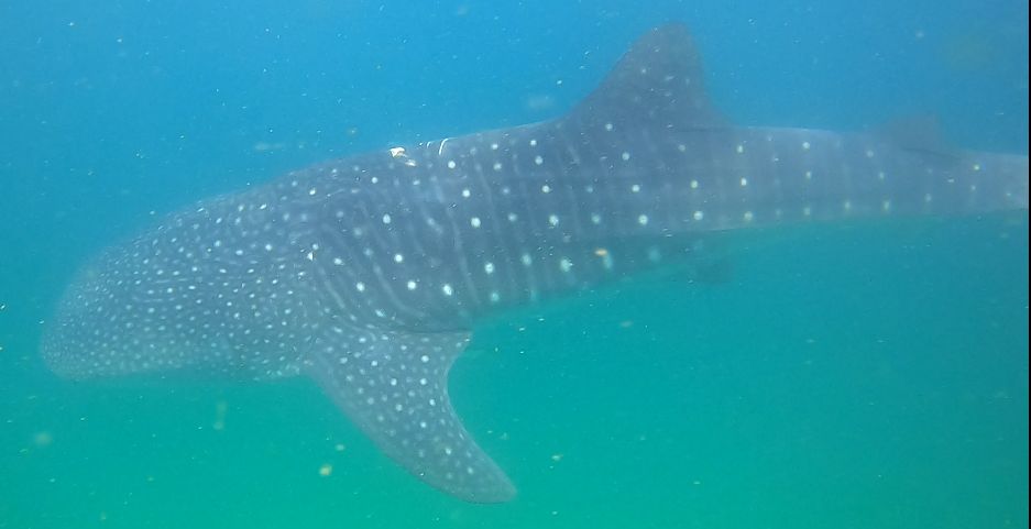 5141dbb6-4f6a-417e-be45-54372b276cff