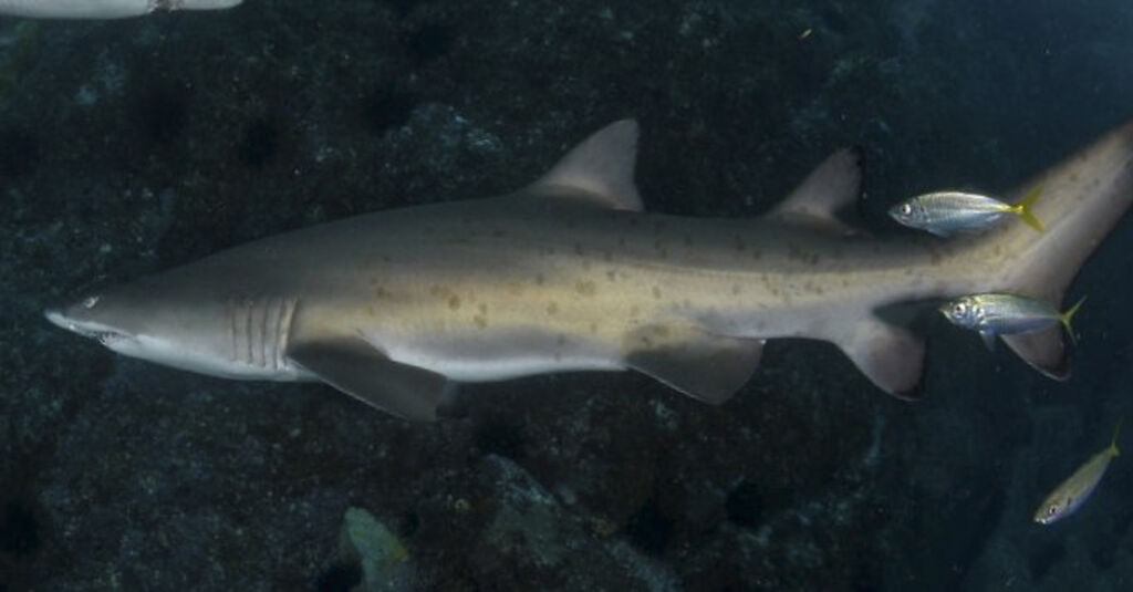 b4141fd2-fd66-4d33-8cc5-ccffe5ca793c