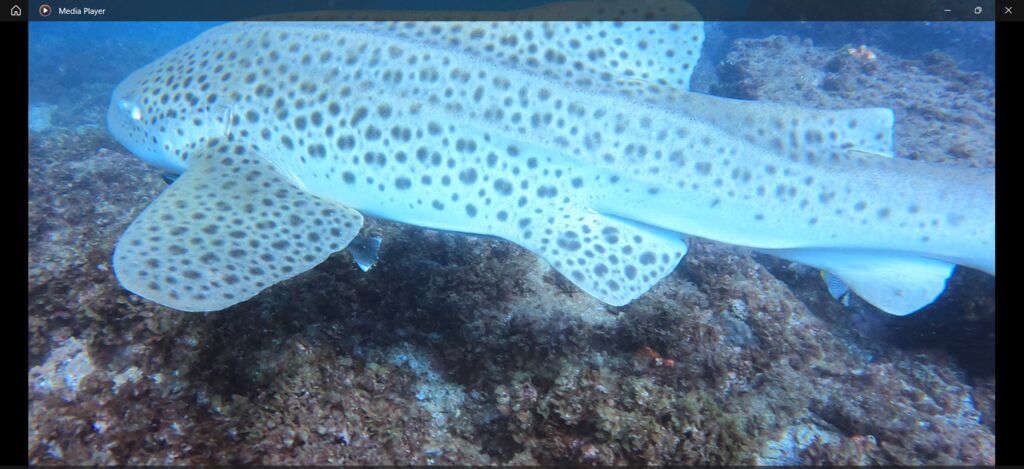 8ba107a1-8596-4d63-8f70-28f6afc50312