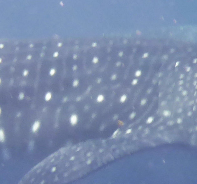 22bc7e7e-7890-4ea2-829d-dd92d076a732