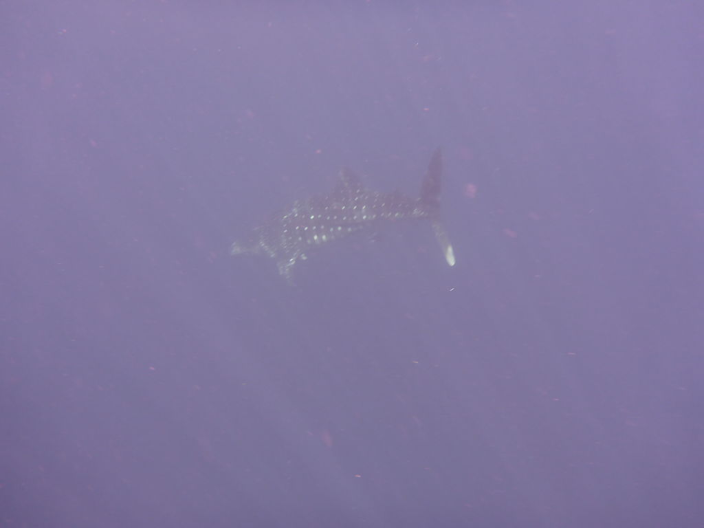 22bc7e7e-7890-4ea2-829d-dd92d076a732