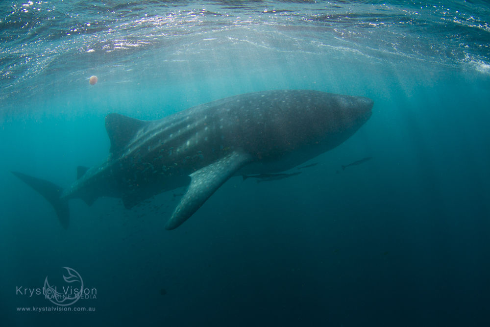 6cd10157-d9fc-41a0-b3df-8de171439b8a