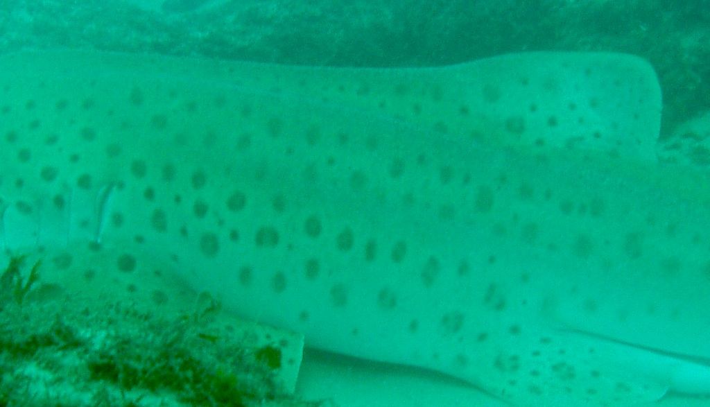 8f3a8ee5-60f6-437c-b2e3-5528e70e8b9a