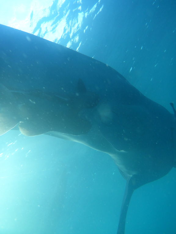 c9263105-70fe-41da-b439-9be9d06d22c5