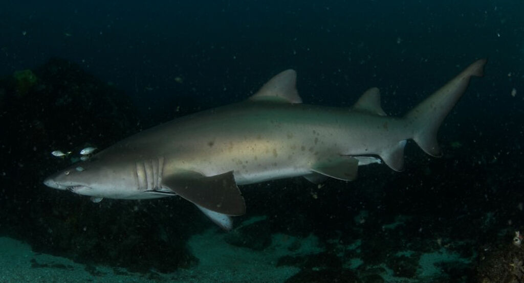 b1438dbd-4354-4f12-a8a5-a5556384425f