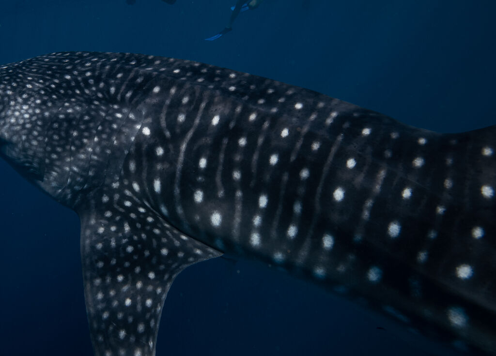 e3328bc4-c89e-4dd3-a64f-7fd6e2d760a1