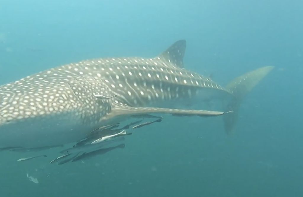 6e0d4311-0185-4c49-bee4-d87ce05864bd