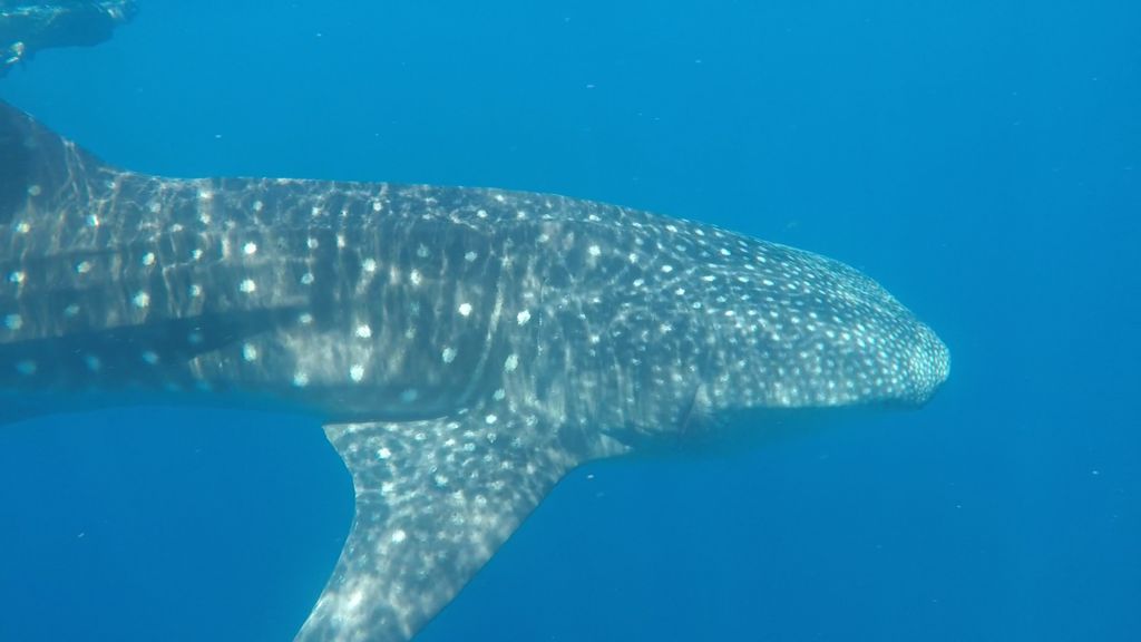 11b9084f-3453-45a7-b077-fd767118e779