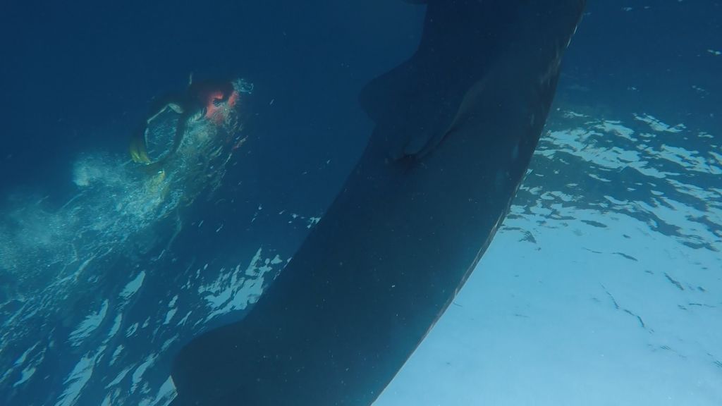 11b9084f-3453-45a7-b077-fd767118e779