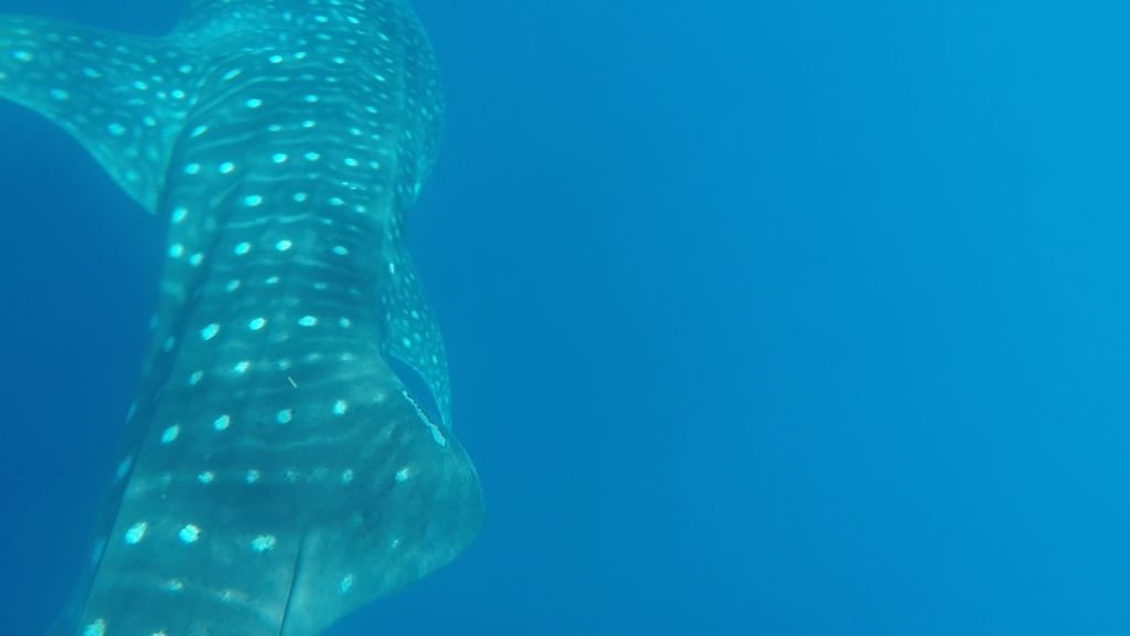 11b9084f-3453-45a7-b077-fd767118e779