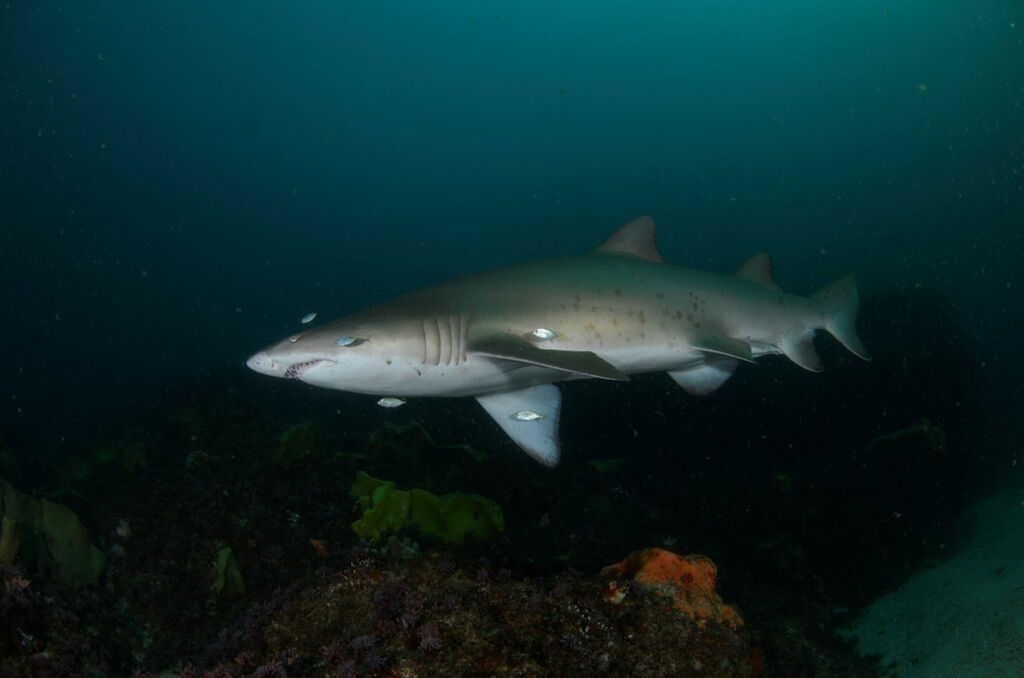 b1438dbd-4354-4f12-a8a5-a5556384425f