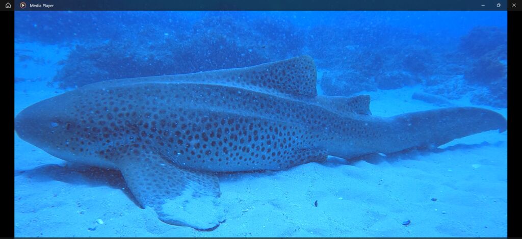 b98f690b-ff93-4f34-a2d8-5d540194d83f