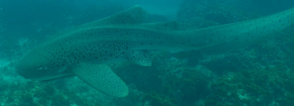 4eb757b3-ac46-422b-b722-bfe8c3e19717