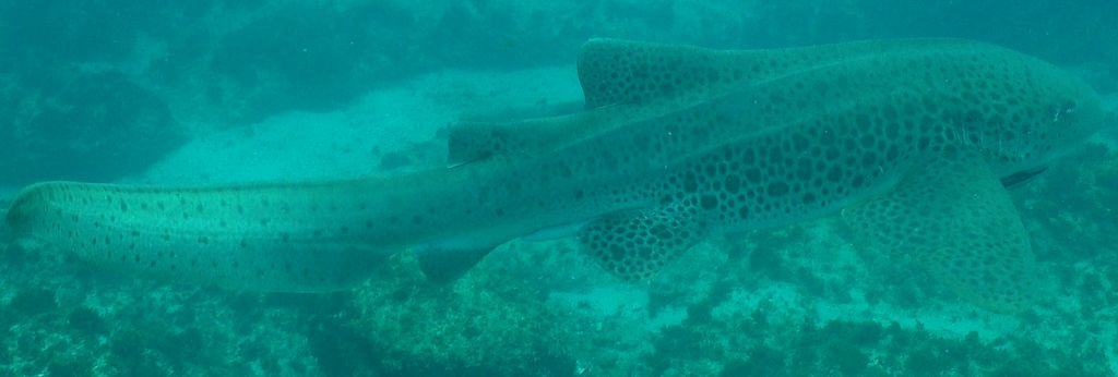 4eb757b3-ac46-422b-b722-bfe8c3e19717