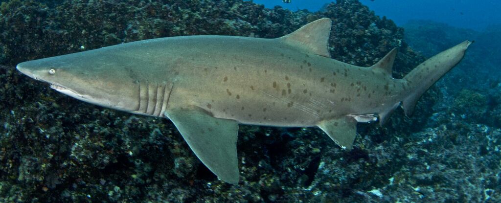 e06f1e97-8601-4f22-937f-93ea99cd243d